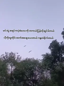 #fypシ゚ #......