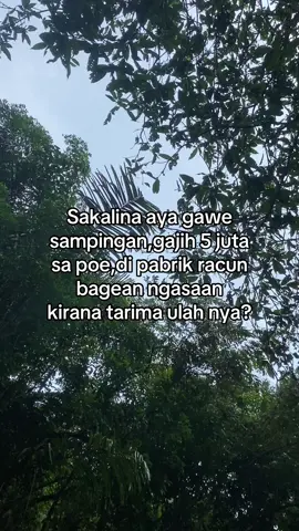 Bingung ek di tarima bisi eweuh asuransi na🥹😭.Hayu gaskeun dulur dulur yang mau boking body rafting bisa lewat dm ya📩                    Ayo ambil promo paket body rafting nya.                                                                #ciwayanghealingadventure #ciwayangbodyrafting #bodyraftingpangandaran #wisatajawabarat #wisatapangandaranmurah #pangandaranhits #wisatapangandaranmurah #pangandaranterkini #katasunda #barudaksunda #bodyraftingciwayang #penginapanpangandaran 