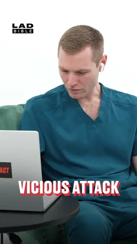 Who knew kangeroos were so mean 😮 Huge thanks to @ben.the.vet for taking part in Pros React 🤝 #ladbible #funnyvideos😂 #benthevet #viralvideos #reactions #pets #animals