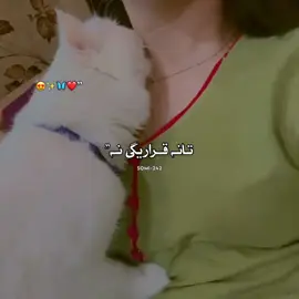 PESHO 🦋😘 ✨#foryou #letsgo #standwithpalestine #indiatiktok ##plzviral #standwithpalestine #somi_242_ #viralvideo #123letsgo #gotoviral #xxx #letsgo 