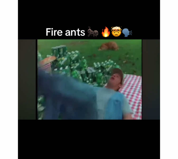 Fire ants 🐜 #ernest #hudsonfazier #fireants #fireant #movie 