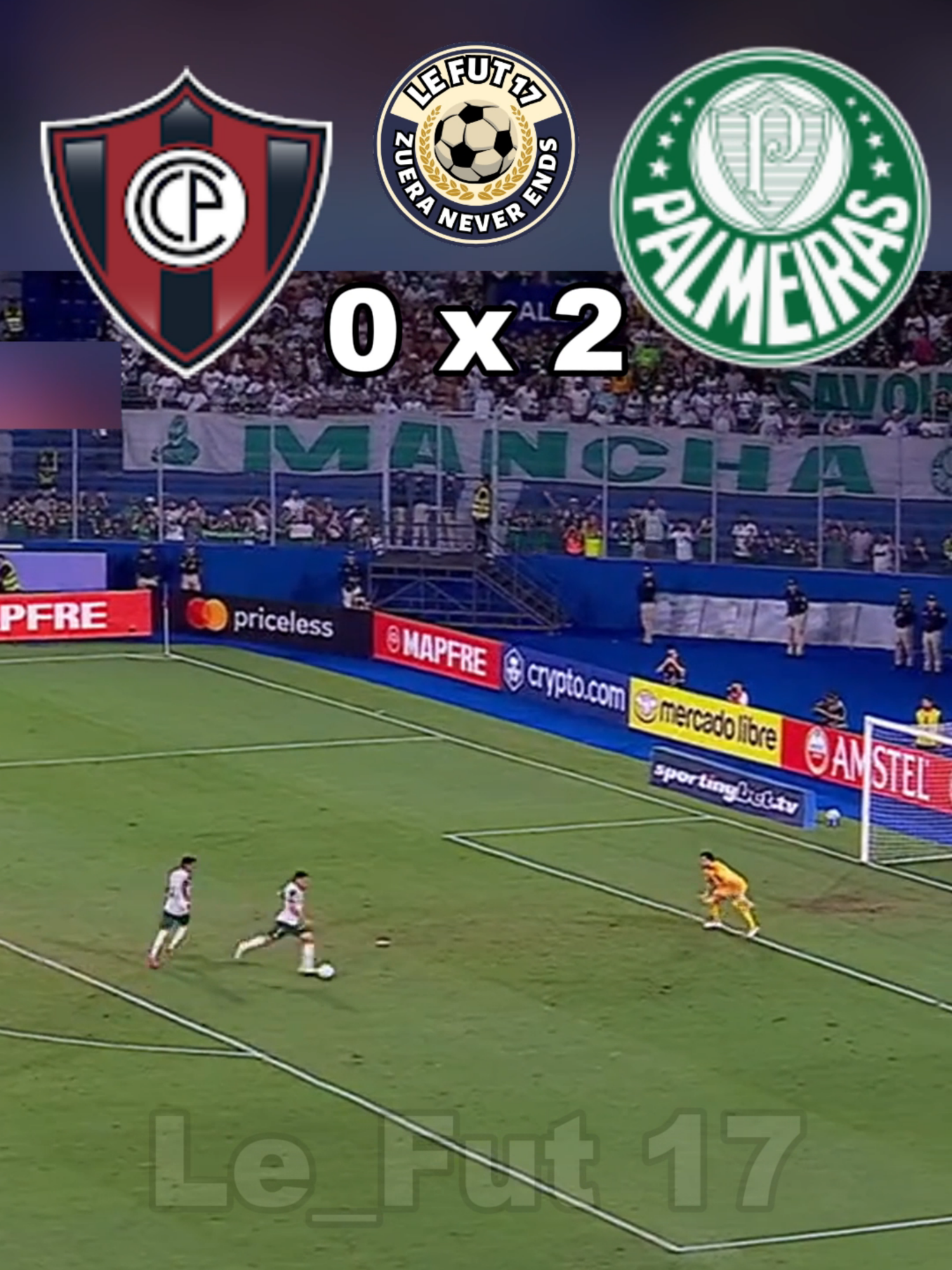 cerro porteño x palmeiras #futebol #cerroporteño #libertadores #palmeiras #verdao #palmeirasnaotemmundial #palmeirasminhavidaevoce #verdaominhapaixao #fut #futbol⚽️ #futeboldazueira #videoviral