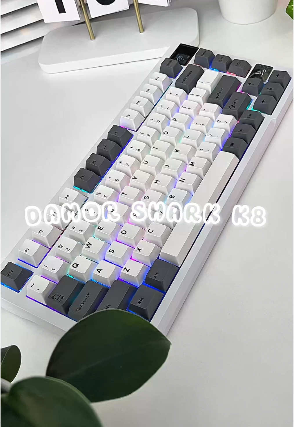 Damor Shark K8. #sinhviennam6 #banphim #keyboard #phimco #darmoshark #darmosharkk8 
