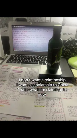 #fyp #freedom #life #studytok #china #kdrama #motivation #improvement #shanghai #scholarship 
