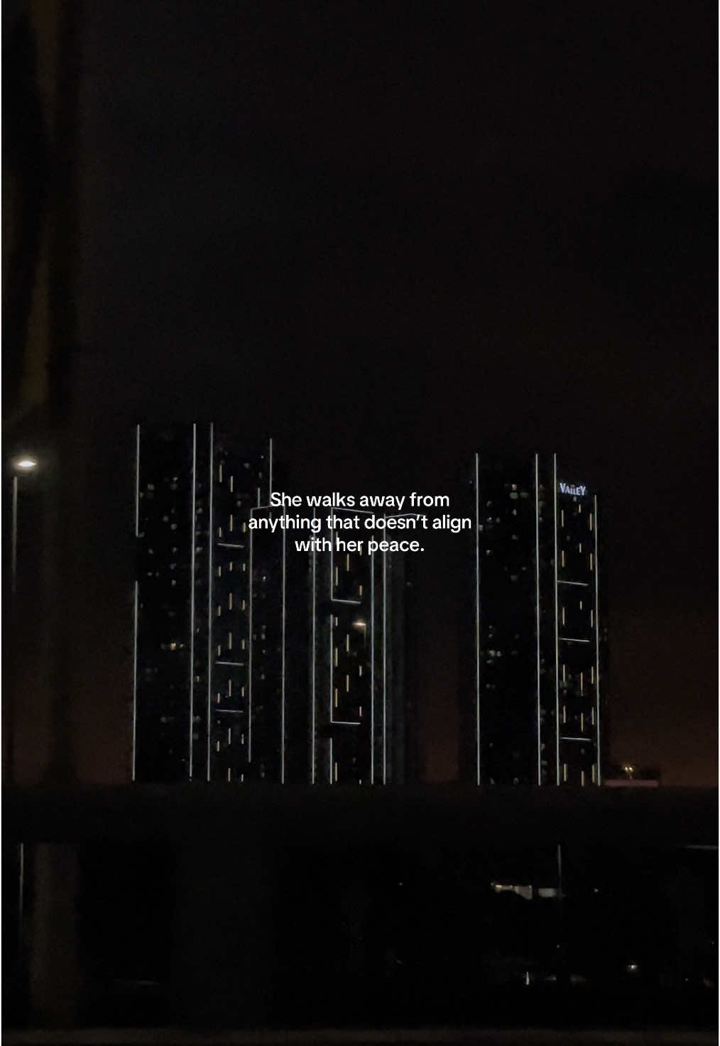 The more she loved herself,the quieter her life became. #peace #loveyourself #selfrespect #selflove #aesthetic #motivation #feminineenergy #mindset #fyp #quietlife #womanempowerment #she #klcc #lifequotes #gym #peaceful 