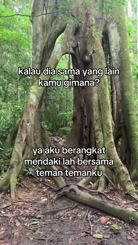 tiba tiba udah di basecamp🗿 . . . . . . . . #pendaki #pendakigunung #pendakiindonesia #gunungindonesia #fyp #foryou #foryoupage 