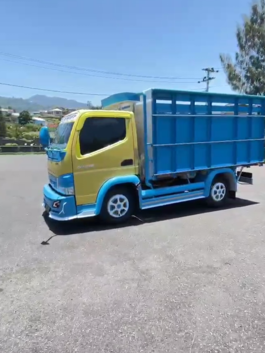 simpel dan kekinian #engkelmodifikasi #variasitruk #baktrukdanvariasi #truckmodifiedindonesia #foryoupage #fypage #engkel_mania_indonesia🇮🇩 