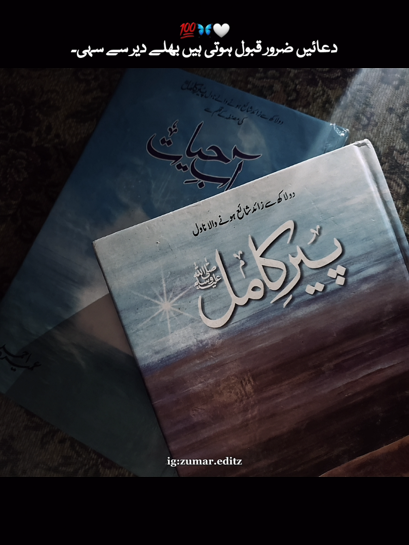 the lessons that i can't forget🪔🤍 #foryoupage #urdunovels #novellines #fyp #unfreezemyacount #goviral #jihansikander #salarsikander #foryoupageofficiall #fypppppppppppppp #readers 