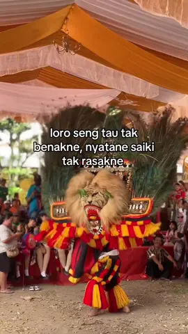 #boloreog #storyreog 