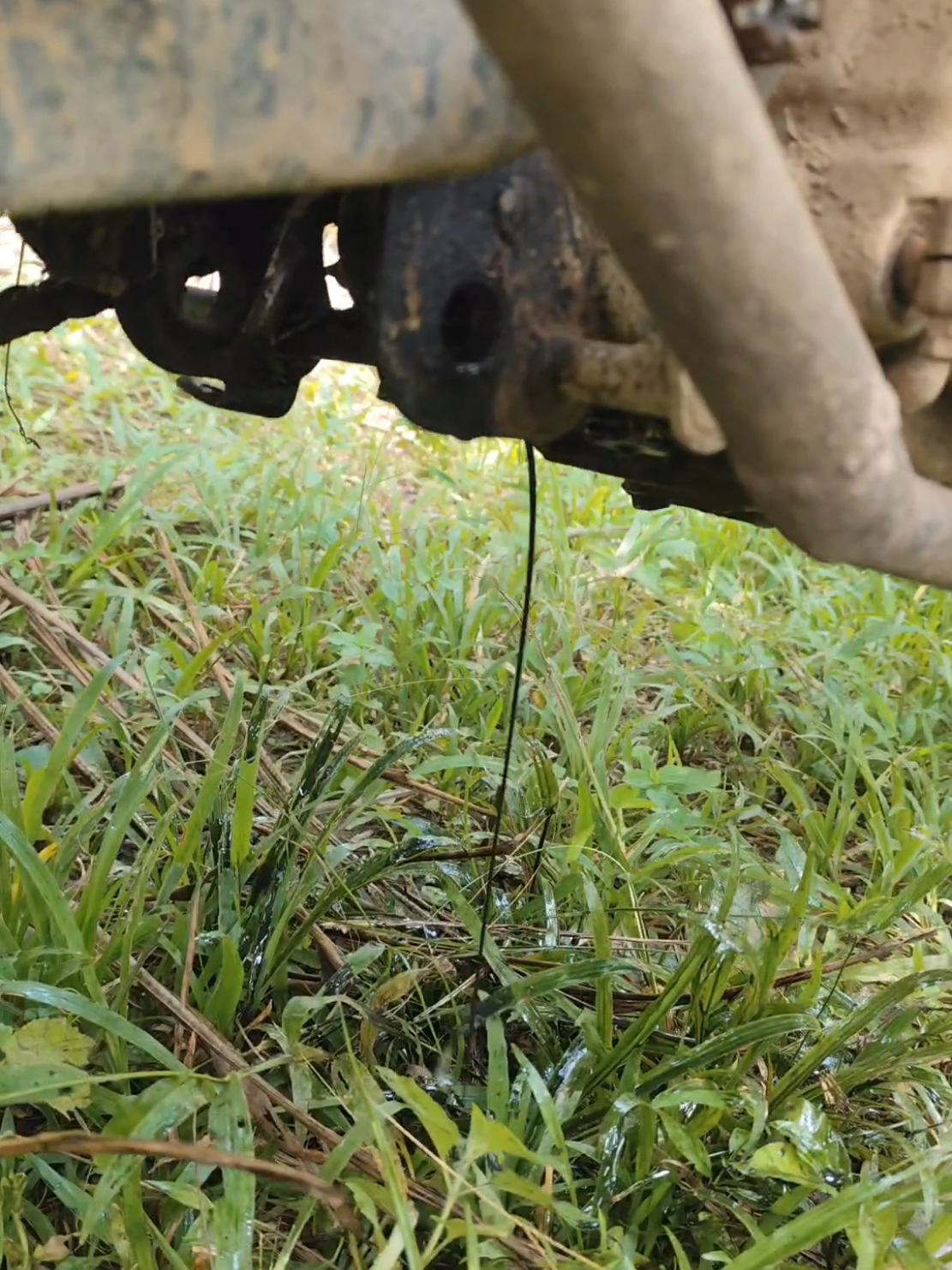 adaaa aja rasaku yg rusak iyaa, lama lama kujual juga kau inii #kuli #sawitriau #motorlangsirsawit #motorrusak 