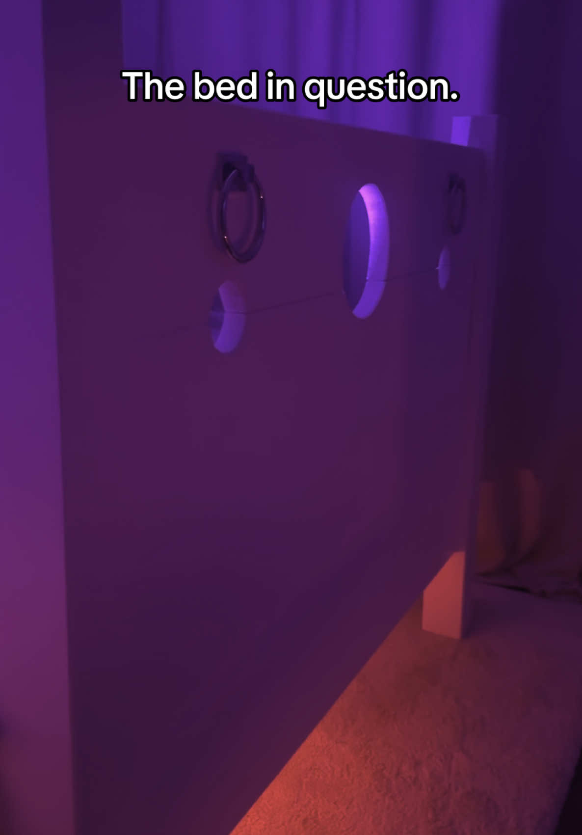 Money well spent 🙌  #alteregobeds #bedframe #custombed #BookTok 