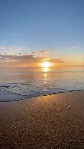 🐔 : gimana cara ngasih taunya ya #fypage #LearnOnTikTok #memereceh #memestiktok #memevideo #memedaily #memereceh #memengakak #memelucu #asupanmeme #funnyvideos #funnytiktok #xybca #foryoupage 