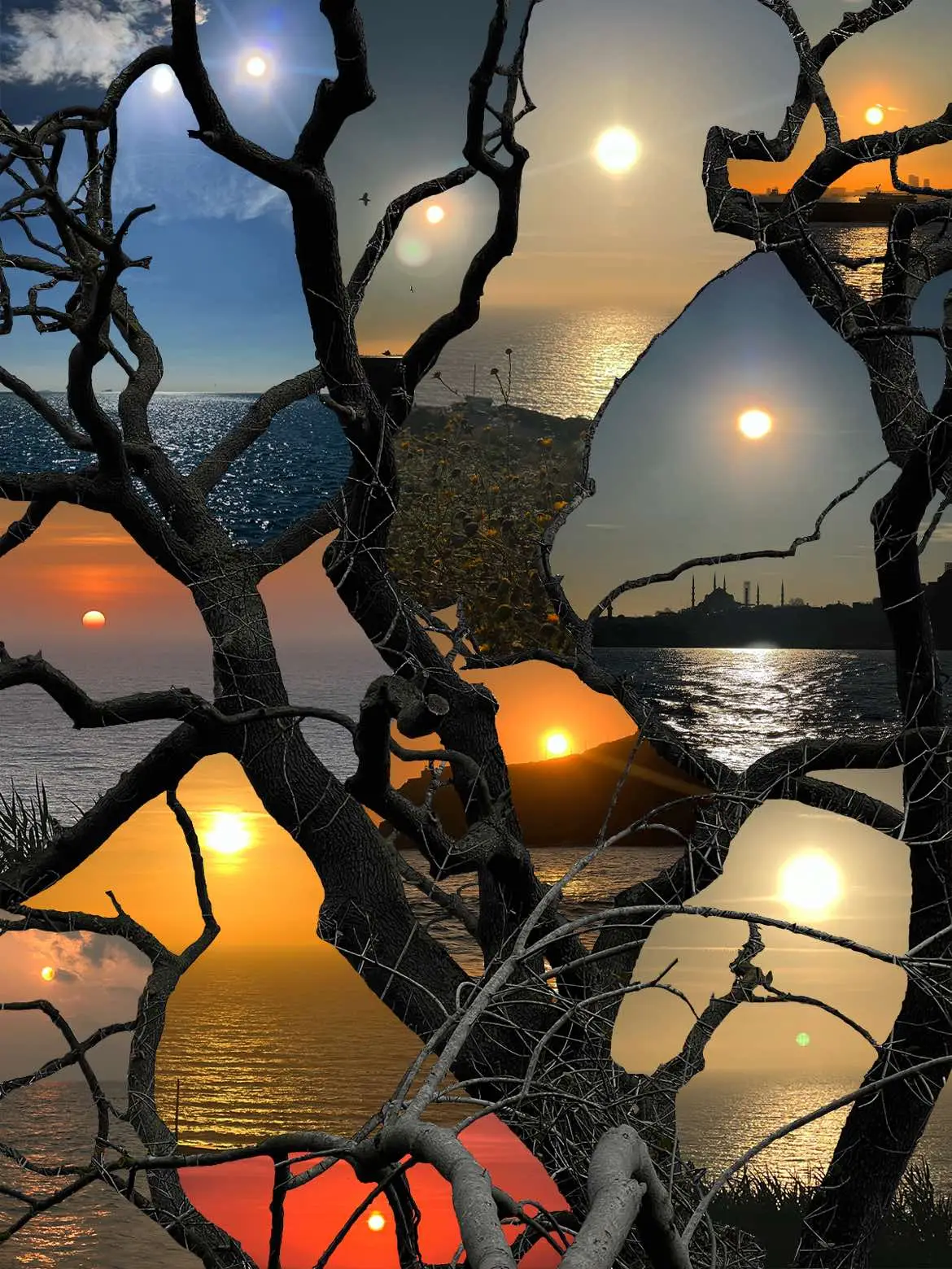 🌅🎑
