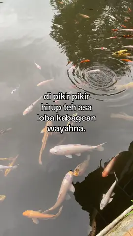 #fypシ゚ #katakata #storywa #beranda 