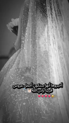 #شعب_الصيني_ماله_حل😂😂 #هاشتاقات_تيك_توك_العرب 
