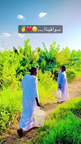 #مشاهير_تيك_توك #القوات_المسلحة_السودانية🦅🇸🇩🦅 #السودان #نهرالنيل #شنديناااا #الدامر_عاصمه_دار_جعل💪🏼⚔🎶 #عطبرة_نهر_النيل💛✊ #كسلور_مشاهير_تيك_توك #كسلا💙💙 #السواقي #الشماليةةة😴❤️✨ #جخو،الشغل،دا،يا،عالم،➕_❤_📝✌️🌍🦋 #ارحبوووووووووووووووووووو_💛 #السواقي_الشمالية❤️ #اكسبلوررر #تكتوك #سواقينااا🤤💚 