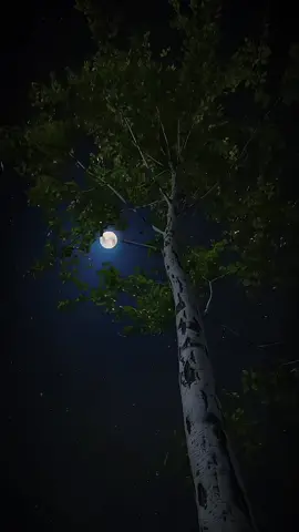 14:06  asluub loogu taliyay hadan taxo amaan taada❤️🥺use airpods#🎧🔥#kg kostic #somalitiktok #foryoupage #somalisong #somalimusic #hees #jawi_bila🌊❤️🌴 