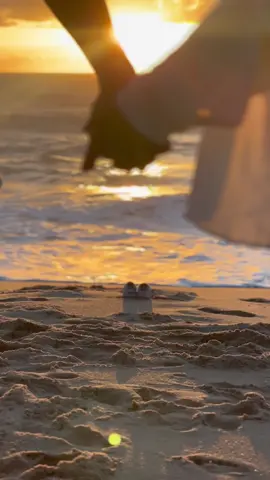 Minha imensa gratidão por esse momento 🥹💕#musica #gravidez  #praia  #grat 