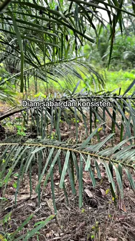 Kita pastikan, kita bisa lebih dari yang kita bayangkan.