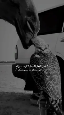 #CapCut#شعر #قصيد #ابيات_شعر #متابعه لا#لايك_فولو 