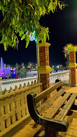 #موستالاند✌❤🥰🇩🇿🇵🇸 #مستغانمي___27__حر__👌👌 #الجزائر_تونس_المغرب #شعب_الصيني_ماله_حل😂😂 