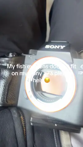 #sony #sonya73 #camera 