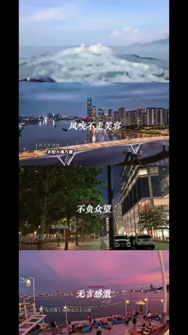 开工：雨夜钢琴 上岸：风吹不走笑容 分钱：不负众望 落网：无言感激