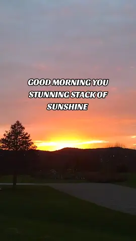 good morning you stunning stack of sunshine #morningquotes #goodmorning #happythursday #thursdaymotivation #motivation #morningroutine #morningcheer #morningvibes #mindset #mindsetmotivation #letsbefriends #friends #tiktokfriends #may #2025 #⚔️rebel_wolfpack_cr3w🐺 #duetrandy #ourfambam #spreadlove #spreadthelove #Love #MentalHealth #mentalhealthmatters #viral #viralvideo #viraltiktok #fyp #foryou #foryoupage 
