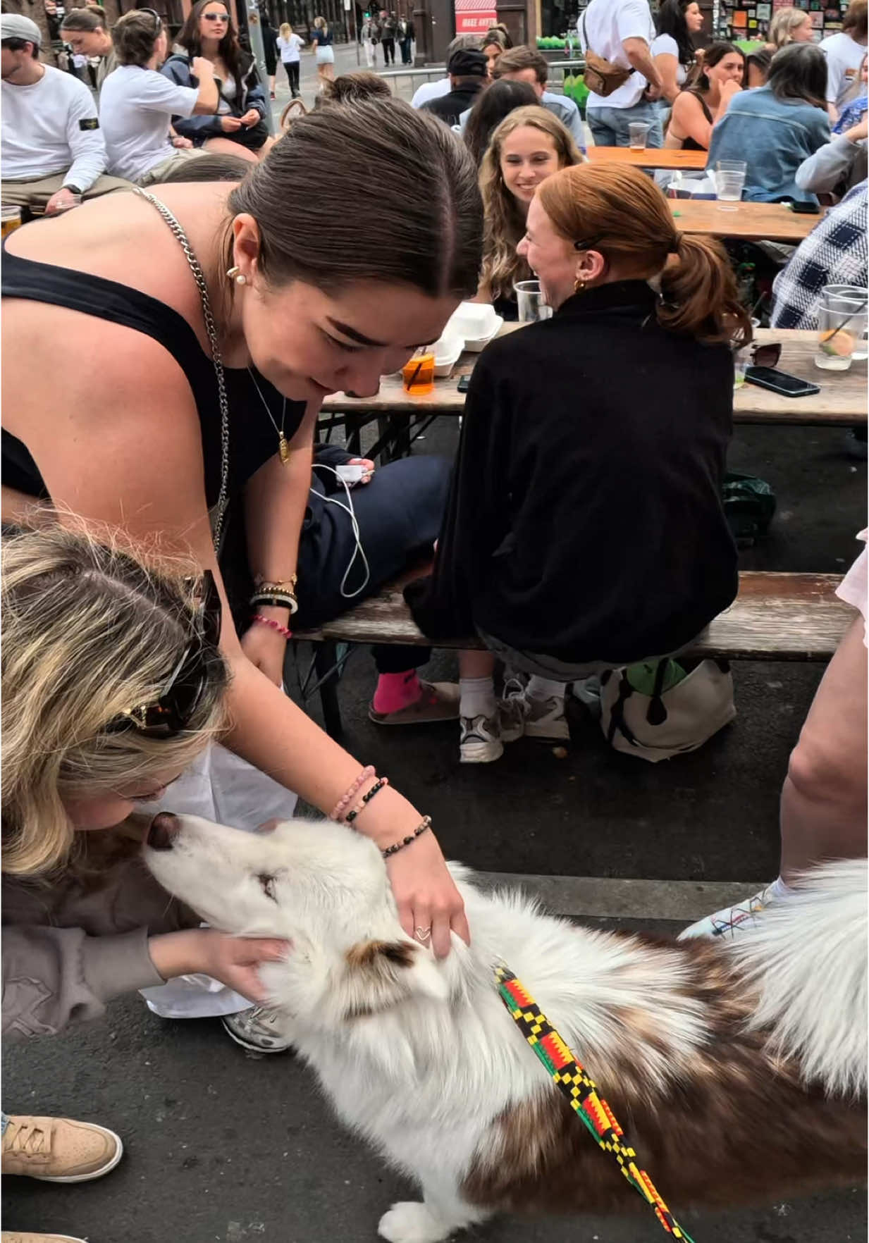 Interactions with my dog!!  #dogs #fyp #foryou #husky #viola #pets #viral #bar #famous #puppy 