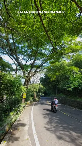 Rindu tentangmu tak pernah pergi  #cianjur #cianjurbaper #beranda #fyp #travel #traveltiktok #fypシ゚viral #kotacianjur #alam #viralvideo #fypage #cianjurbangkit #cianjurjawabarat #kabupaten #traveler #jalanraya #pedesaan #kabupatencianjur 