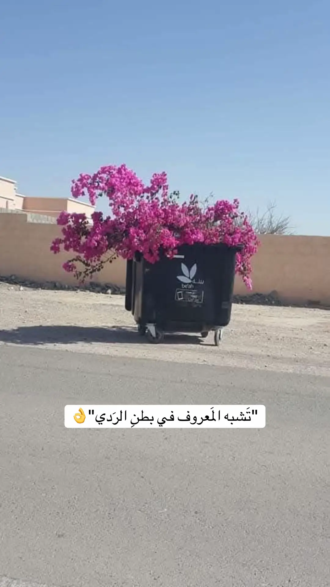 نعيدهم غرباء