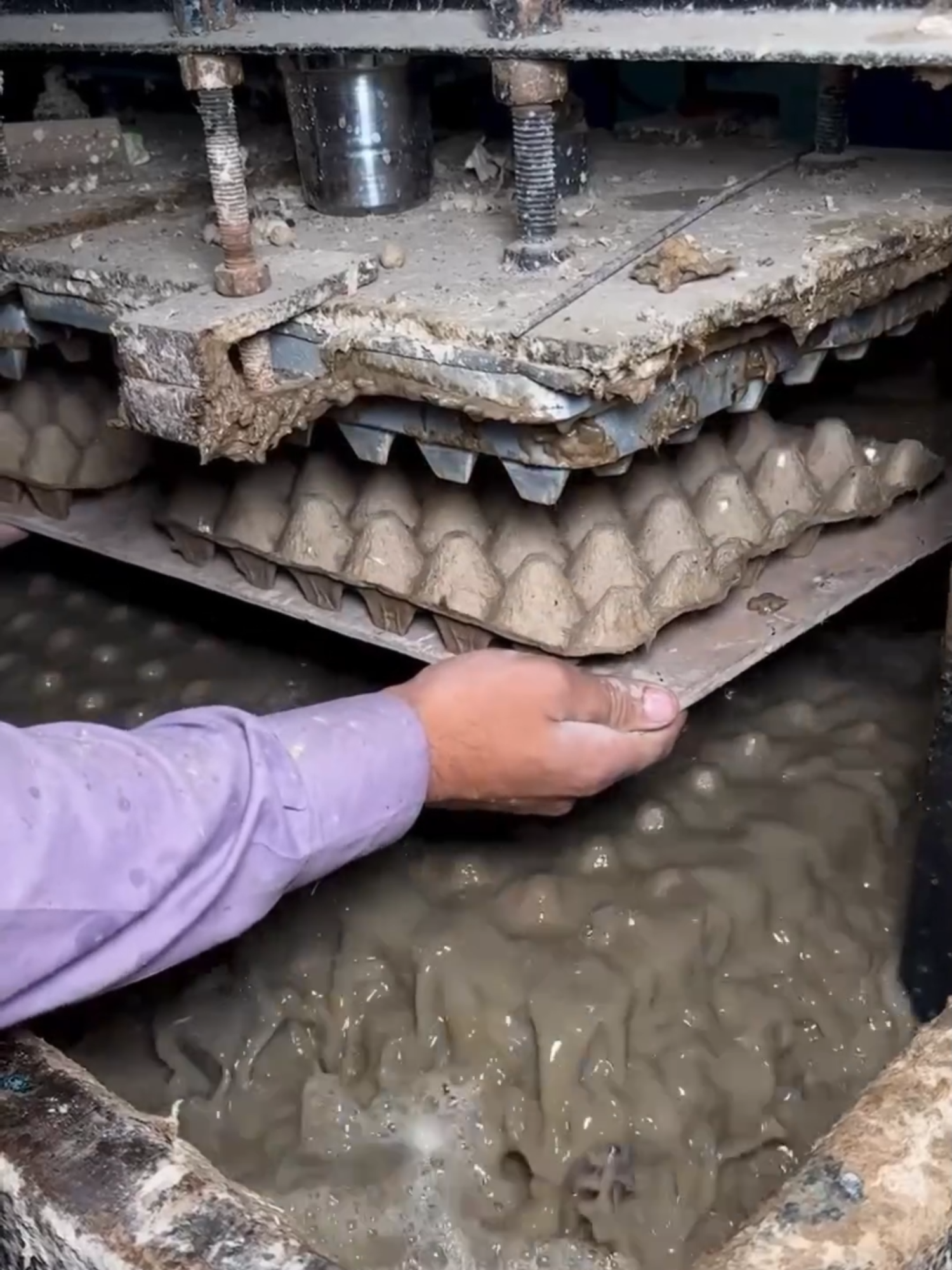 ASÍ SE FABRICAN LAS BANDEJAS DE CARTÓN PARA HUEVOS De papel reciclado a bandejas listas para proteger millones de huevos. Agua, pulpa y moldes automáticos hacen posible este proceso en cuestión de minutos. #reciclaje #industria #producciónmasiva #cartónreciclado #procesosindustriales #losabías