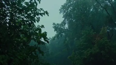 #mưa #rain #tamtrang #yenbinh #thiennhien #sad