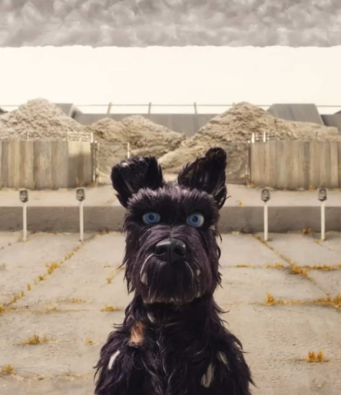 #isleofdogs why is this getting views and not my edits 😔💔
