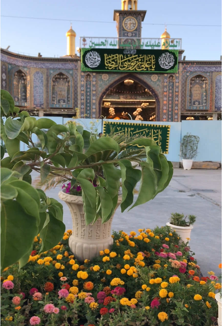 إلهي بـ باب الحوائج عَلي بن موسى الرضا أرزقنا زيارته في الدنيا واقضي حوائجنا♥️🤲🏻 #ياعلي_بن_موسى_الرضا #11ذوالقعدة #ليلة_الجمعة #ولاده_الامام_الرضا_عليه_السلام #متباركين #تصويري 