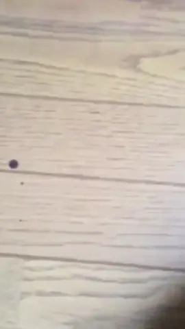 JACK NO. #marikinonline4コスプレ #mo4 #Marikinonline4 #MO4 #marikinonline #Mo4 #marikinonline4 #mo4edit #マリキンオンラン4 #jackmo4 