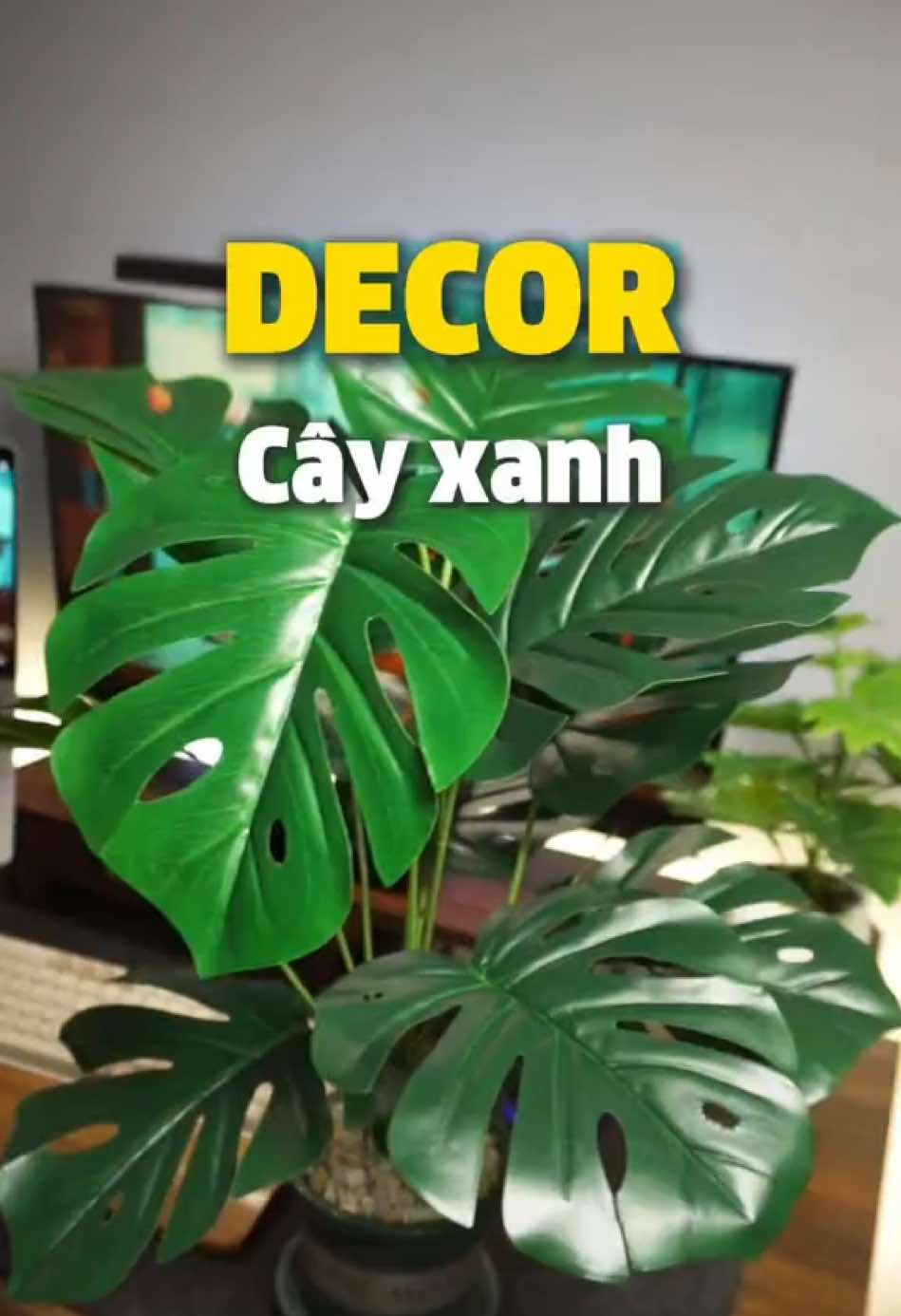 Cây xanh decor ưng cái bụng quá ##banlamviec #setup #decor #review #viral #xuhuong #gochoctap #LearnOnTikTok #desksetup #caydecor #caygiadecor #cayxanh