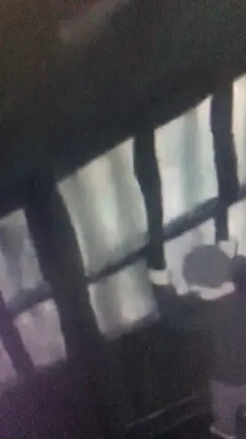 #野球 