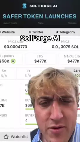 SOL Forge AI #tombirchy #solana 