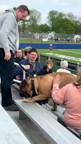 If this doesn’t make you smile nothing will. #happy #smiley #puppy #happydog #bullmastiffpuppy #lacrosse #therapy 