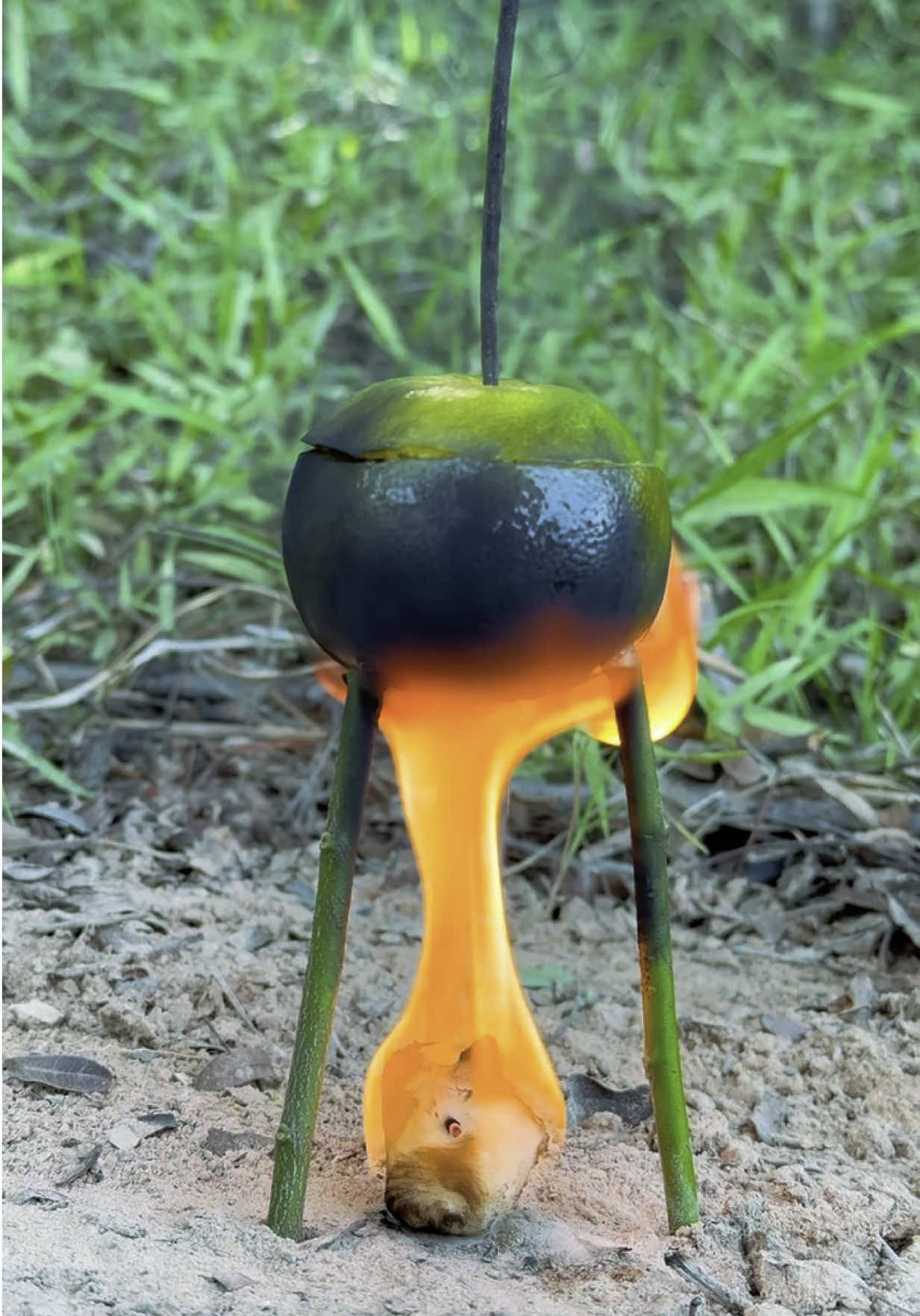 SURVIVAL SKILLS: Barbara Comes Back ❤️Oranges Have an idea Be Make a teapot #camping #survival 