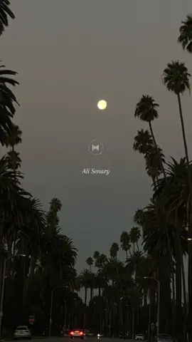 يا حمام بتنوح ليه !🖤 #محمد_منير #بدون_موسيقي #nomusic60 #fyp #اكسبلو 