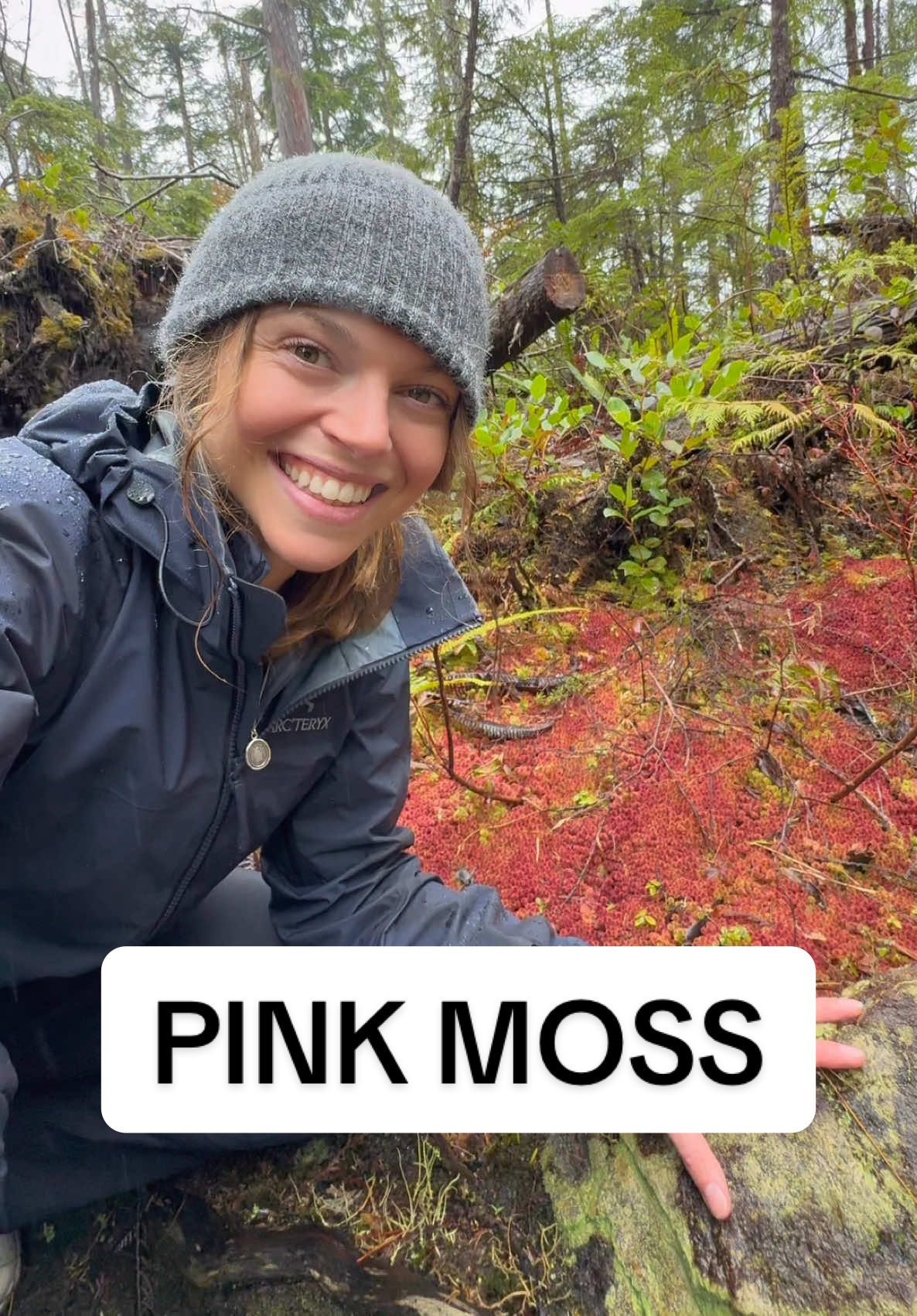 It’s squishy, soft, spongy, and sometimes… PINK?!!  Sphagnum moss is a wetland-building, carbon-absorbing, climate-regulating super plant!!  Found in wetlands across the Northern Hemisphere, this moss can absorb up to 20 times its weight in water! It slowly releases moisture to create the acidic, low-oxygen conditions that form peat. Peatlands are largely made of sphagnum, and cover just 3% of the Earth’s surface but store about 30% of the world’s soil carbon.  Some species, like red sphagnum moss, turns a beautiful pink or crimson colour due to a pigment called sphagnorubin, which protects them from harsh sunlight. The more pinky-red the moss appears, the more sun and UV exposure receiving. I encountered this beautiful pink coloured sphagnum moss while hiking the Lone Cone Trail on Meares Island with Ahous Adventures!  #naturalist #biodiversity #moss #tofino #pnwhiking 