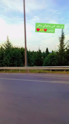 ترند الغنيه#jg #لايك__explore___ #متابعة_فضلا_ليس_امرا_صعبا_ #jungkook #sad #stitch #goviral #GreenScreenScan #goviral #stitch #goviral 