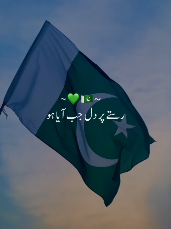 Pakistan zinda bad🇵🇰💚||repost request||#viral #pakistanzindabad🇵🇰🇵🇰🇵🇰🇵🇰 #pakistanvsindia #pakistan #war #jung #whatsappstatus #trending#pakarmy #milinaghma 