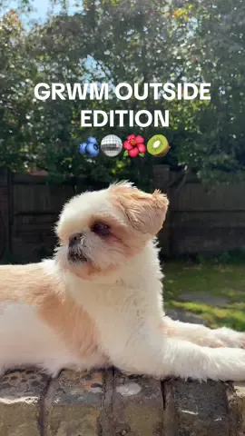 🎀GRWM BUT OUTSIDE EDITION #GRWM #makeup #skincareroutines #dog #Summer #outside #edition #teengirl #relatable #homeschool #homeschooled @Max And Harvey 