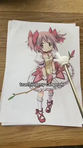 Puella Magi Madoka Magica (Japanese: 魔法少女まどか☆マギカ, Hepburn: Mahō Shōjo Madoka Magika), also known simply as Madoka Magica, is a Japanese anime television series created by Magica Quartet,[b] and animated by Shaft. The story follows a group of middle school girls, led by protagonist Madoka Kaname, who make supernatural contracts to become magical girls. In battling surreal enemies known as 