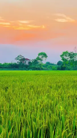 Một căn nhà nhỏ ở 1 nơi thật bình yên giữa dòng đời bon chen . Lại là ước mơ xa xỉ của rất nhiều người...!