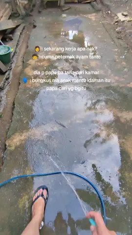 nntau dia p papa pangmanyabung kote🤣 @Whitecalya3nr nda meleset klu bgitu🗿 #peternakmuda #kakiRacing_GF #gilaayam #ayamphilipin🇵🇭 #fypppppppppppppp 