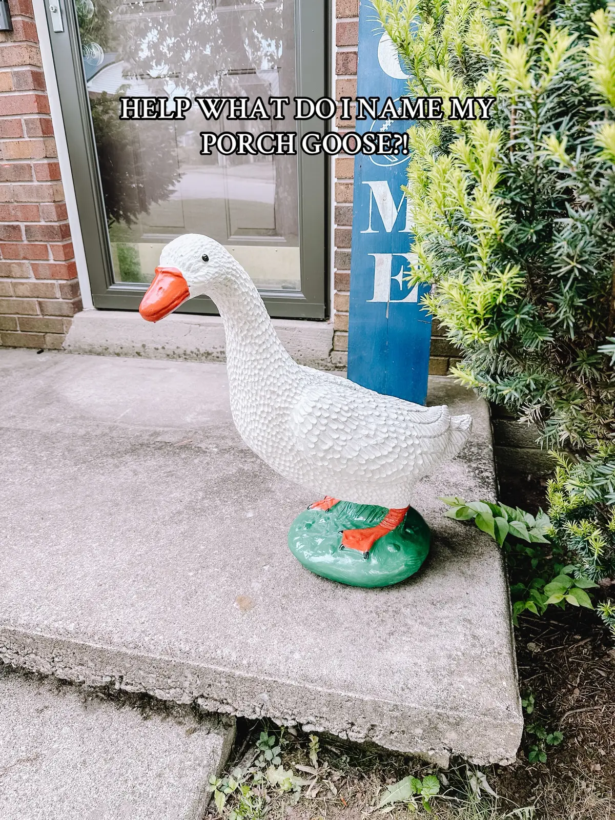 For reference, my classroom goose is named Lucy, so I’m trying to not do Lucy Goosey lol. #porchgoose #fyp 